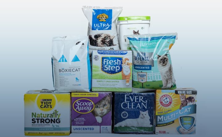 انواع خاک گربه ارزان قیمت