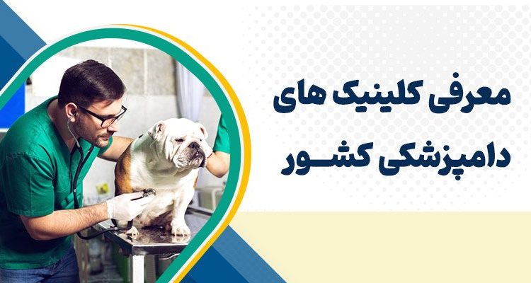 معرفی کلینیک های دامپزشکی کشور