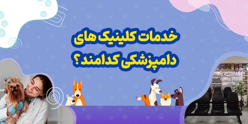 کلینیک های دامپزشکی چه نوع خدماتی ارائه می دهند؟
