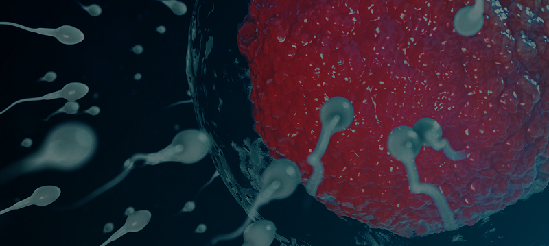 آی یو آی (IUI)