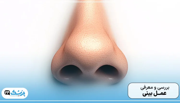 بهترین جراحان عمل زیبایی بینی